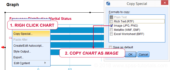 SPSS Output Chart Copy Special to WORD
