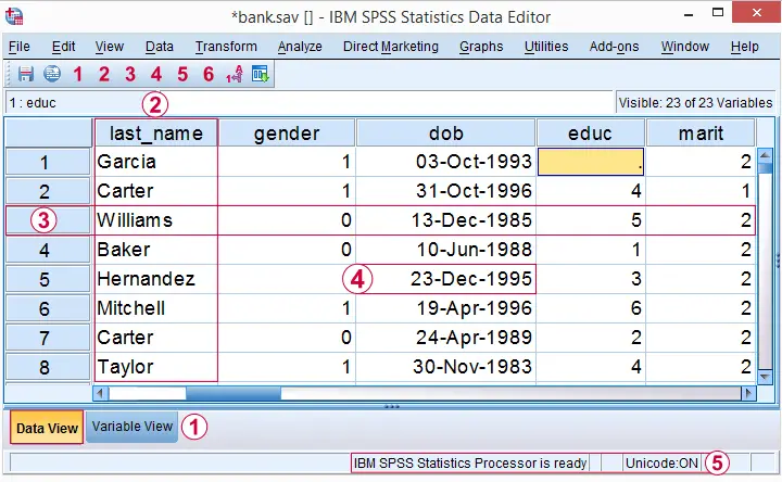 Vista de datos de SPSS con variables, casos y valores señalados