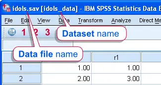 SPSS Dataset versus Data File SPSS Dataset versus Data File