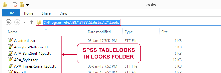 SPSS TableLooks in Looks Subfolder