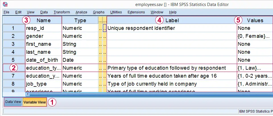 SPSS Variable View with Variables, Variable Labels and Value Labels Pointed Out
